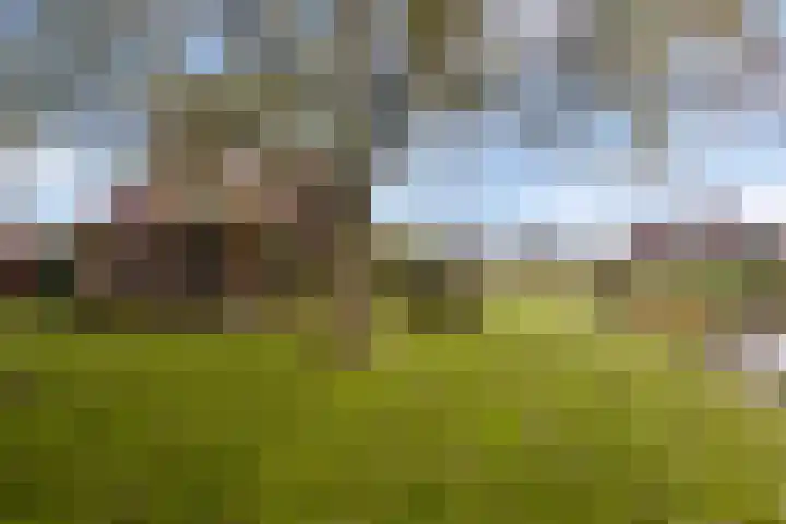 Bronsbergen 25 r 203 Zutphen thumbnail 35
