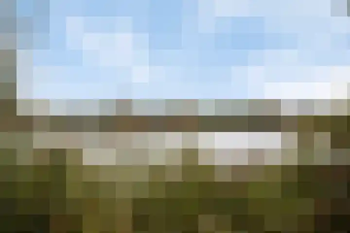 Bronsbergen 25 r 203 Zutphen thumbnail 36