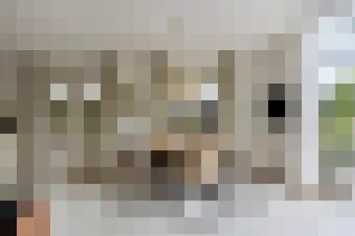 Bronsbergen 25 r 203 Zutphen thumbnail 6