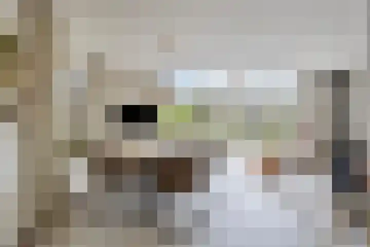 Bronsbergen 25 r 203 Zutphen thumbnail 7
