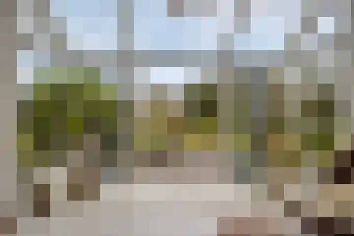 Bronsbergen 25 r 203 Zutphen thumbnail 8