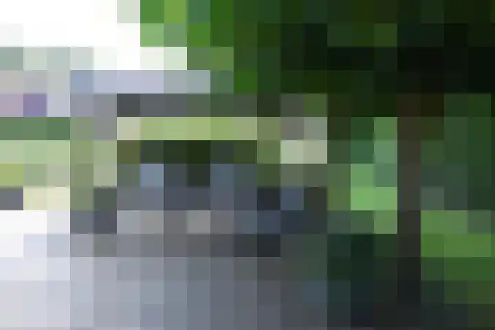 Bronsbergen 25 r 42 Zutphen thumbnail 10