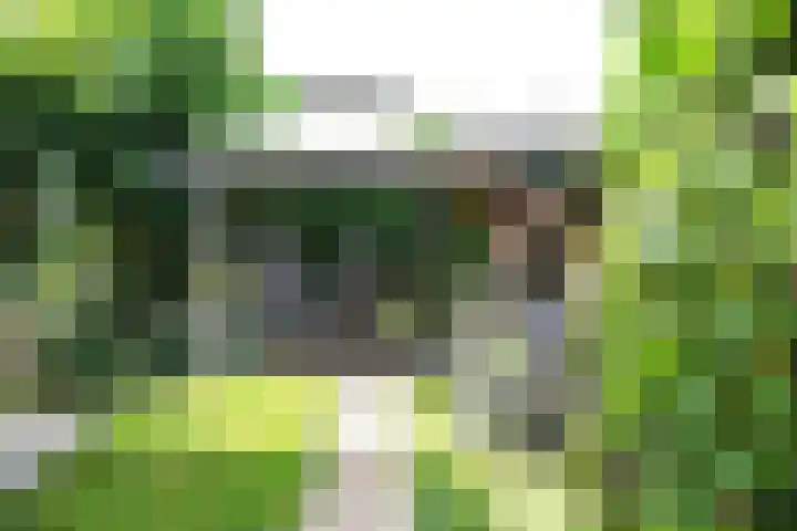 Bronsbergen 25 r 42 Zutphen thumbnail 11