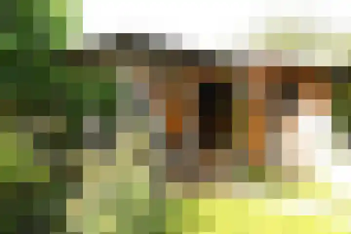 Bronsbergen 25 r 42 Zutphen thumbnail 12