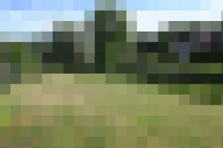 Bronsbergen 25 r 42 Zutphen thumbnail 14