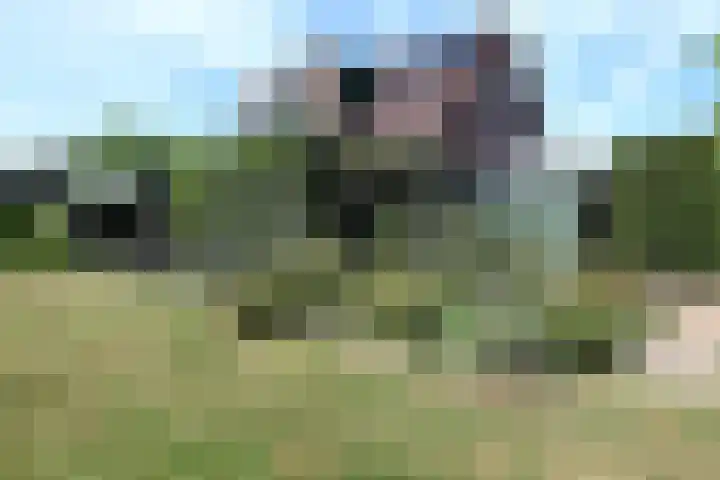 Bronsbergen 25 r 42 Zutphen thumbnail 16