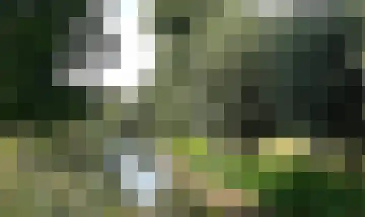 Bronsbergen 25 r 42 Zutphen thumbnail 18
