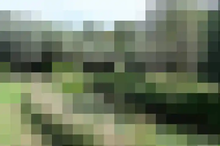 Bronsbergen 25 r 42 Zutphen thumbnail 19