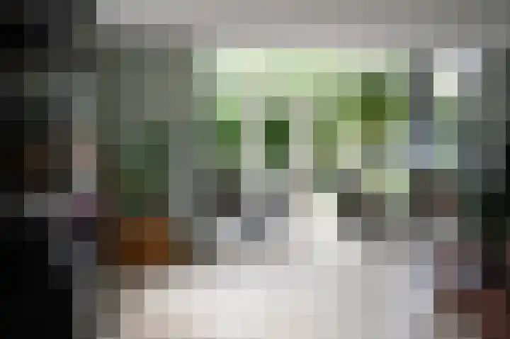 Bronsbergen 25 r 42 Zutphen thumbnail 20