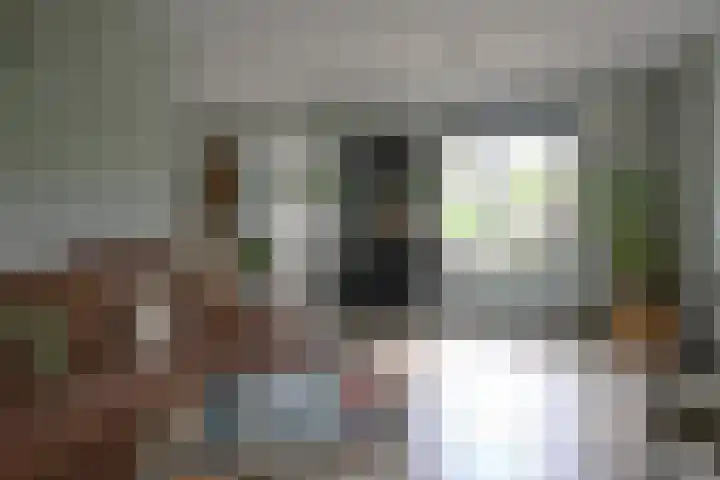 Bronsbergen 25 r 42 Zutphen thumbnail 23