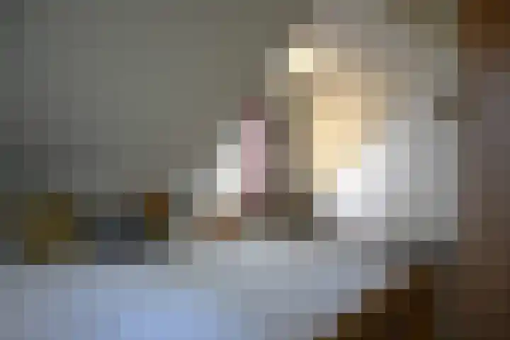 Bronsbergen 25 r 42 Zutphen thumbnail 32