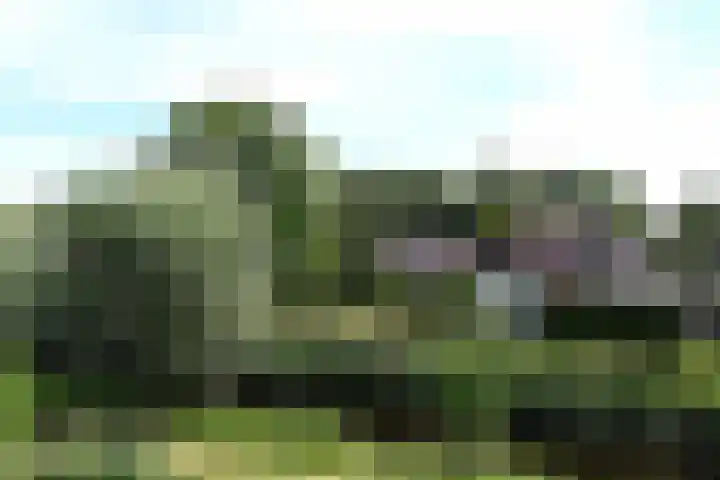 Bronsbergen 25 r 42 Zutphen thumbnail 33