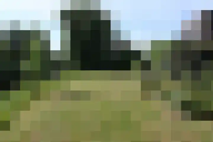 Bronsbergen 25 r 42 Zutphen thumbnail 4