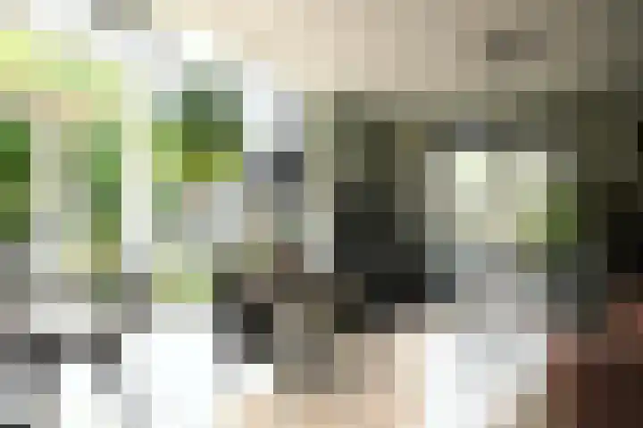 Bronsbergen 25 r 42 Zutphen thumbnail 5