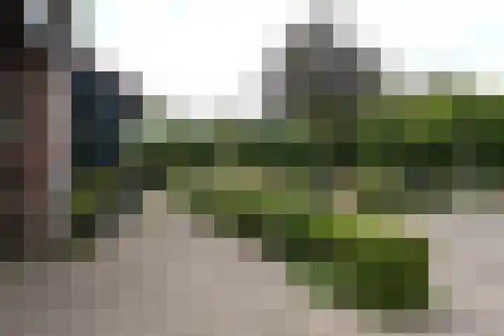 Bronsbergen 25 r 42 Zutphen thumbnail 7