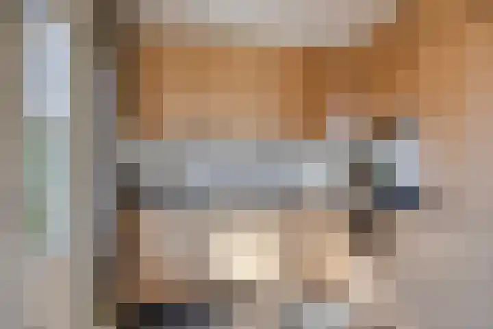 Bronsbergen 25 r 59 Zutphen thumbnail 12
