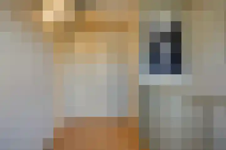 Bronsbergen 25 r 59 Zutphen thumbnail 18