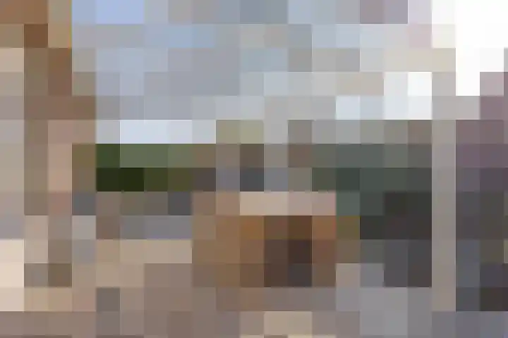 Bronsbergen 25 r 59 Zutphen thumbnail 28