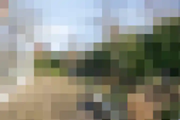 Bronsbergen 25 r 59 Zutphen thumbnail 31