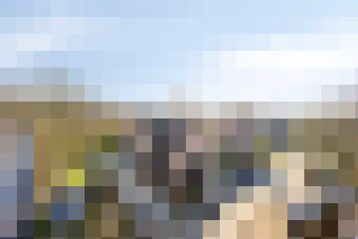 Bronsbergen 25 r 59 Zutphen thumbnail 39