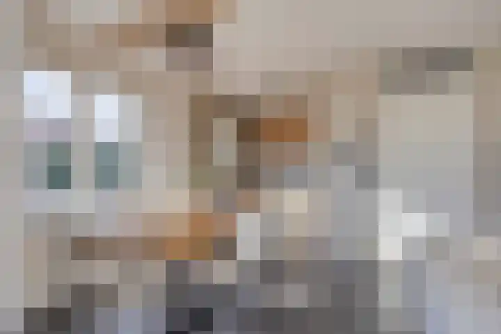 Bronsbergen 25 r 59 Zutphen thumbnail 4