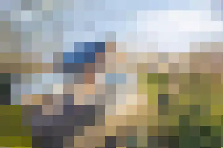 Bronsbergen 25 r 59 Zutphen thumbnail 40