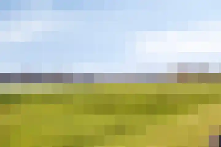 Bronsbergen 25 r 59 Zutphen thumbnail 43
