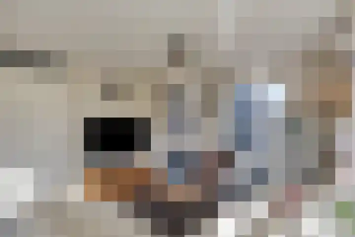 Bronsbergen 25 r 59 Zutphen thumbnail 9