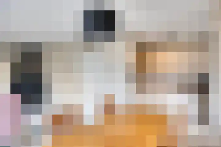 Bronsbergen 25 r 64 Zutphen thumbnail 10