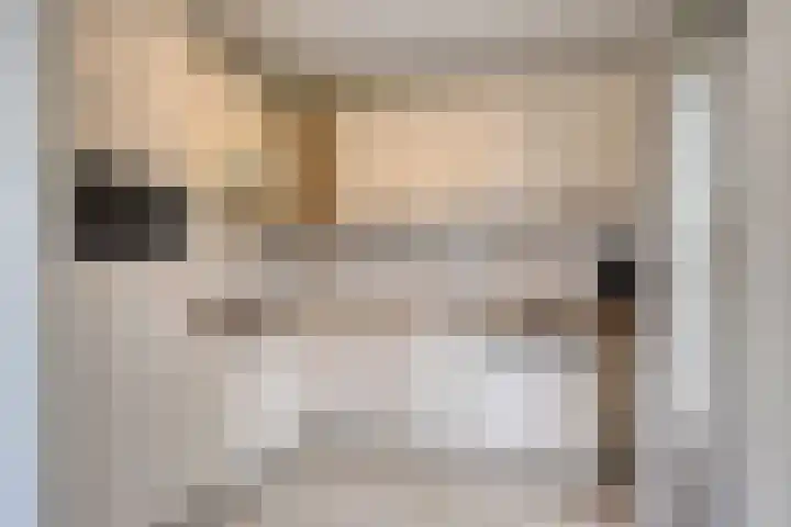 Bronsbergen 25 r 64 Zutphen thumbnail 11