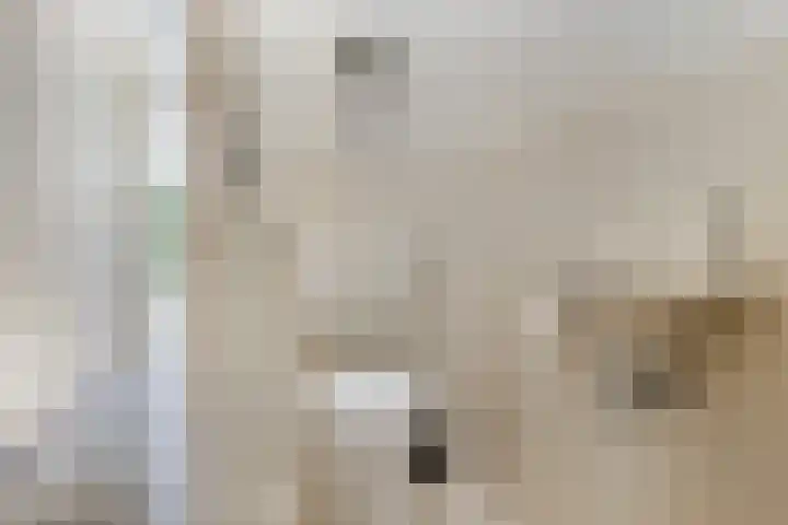 Bronsbergen 25 r 64 Zutphen thumbnail 14