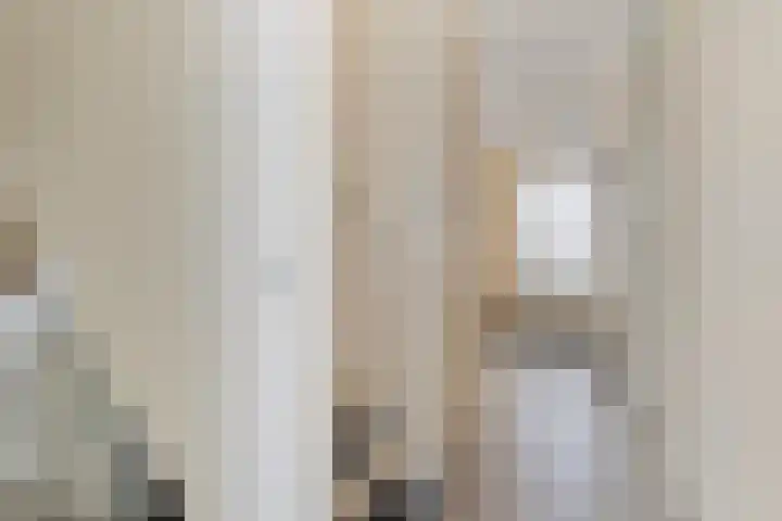 Bronsbergen 25 r 64 Zutphen thumbnail 19