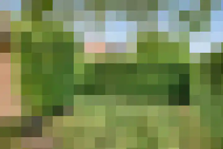 Bronsbergen 25 r 64 Zutphen thumbnail 26