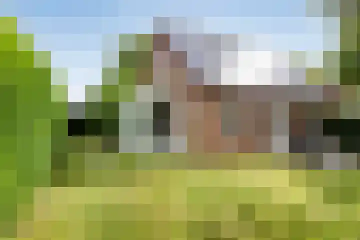 Bronsbergen 25 r 64 Zutphen thumbnail 27