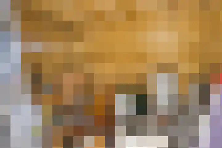 Bronsbergen 25 r 64 Zutphen thumbnail 31