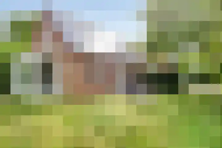 Bronsbergen 25 r 64 Zutphen thumbnail 34