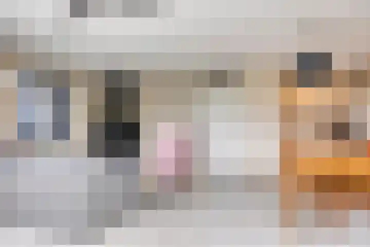 Bronsbergen 25 r 64 Zutphen thumbnail 6