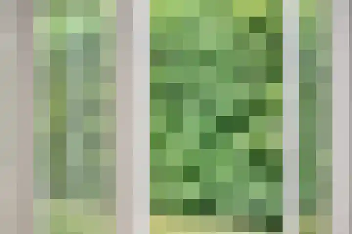 Bronsbergen 25 r 64 Zutphen thumbnail 7