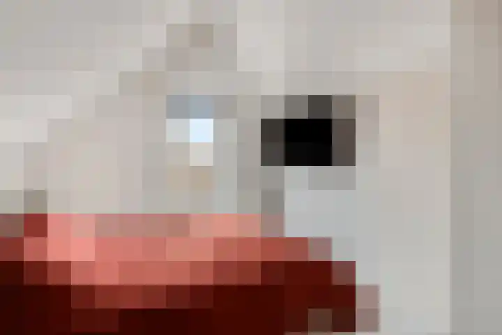Bronsbergen 25 r 71 Zutphen thumbnail 18