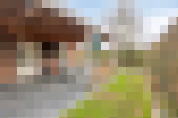 Bronsbergen 25 r 71 Zutphen thumbnail 25