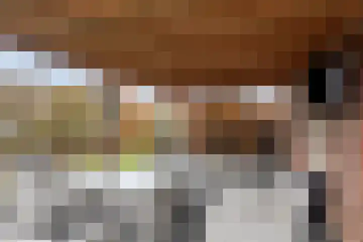 Bronsbergen 25 r 71 Zutphen thumbnail 27