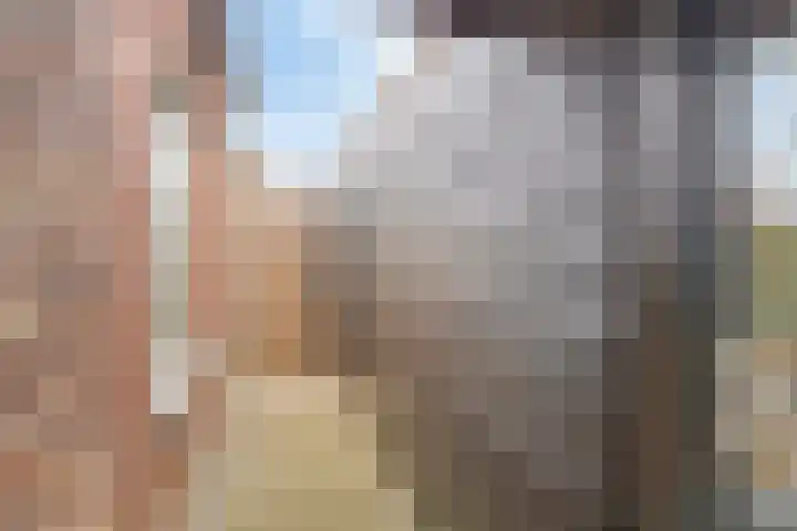 Bronsbergen 25 r 71 Zutphen thumbnail 33