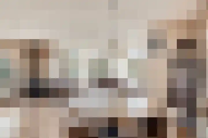 Bronsbergen 25 r 71 Zutphen thumbnail 5