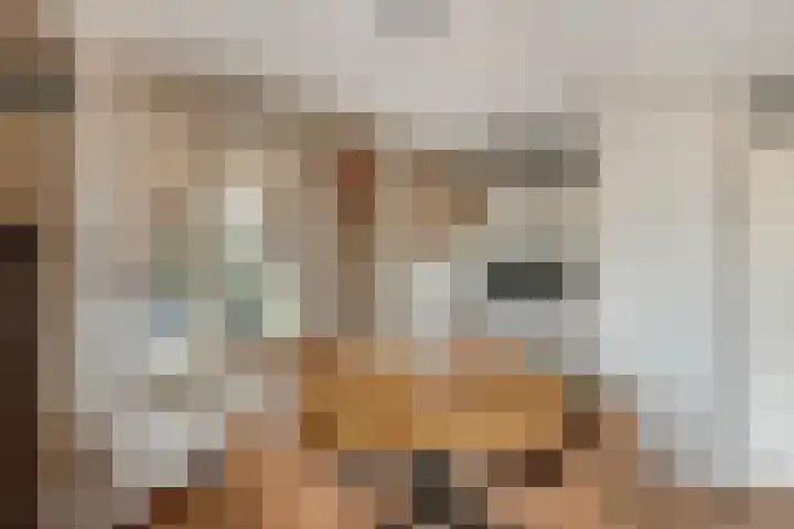 Bronsbergen 25 r 71 Zutphen thumbnail 7
