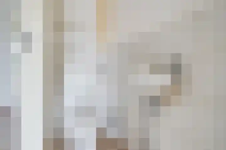 Bronsbergen 25 r 94 Zutphen thumbnail 14