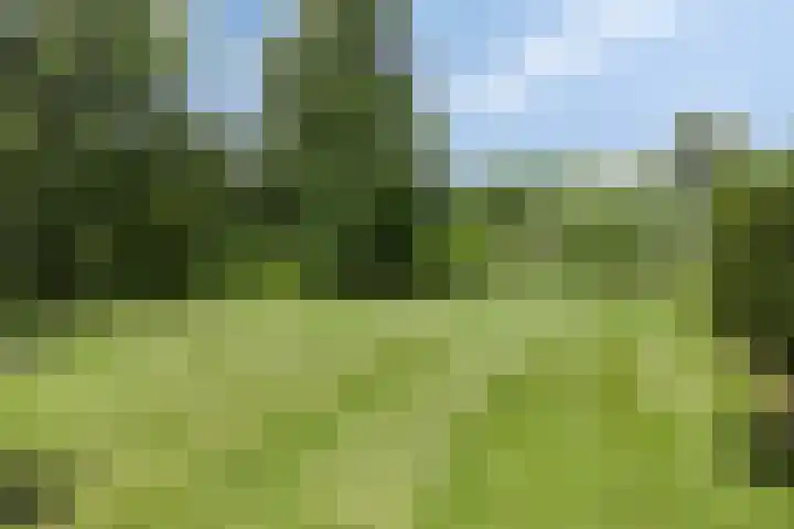 Bronsbergen 25 r 94 Zutphen thumbnail 24