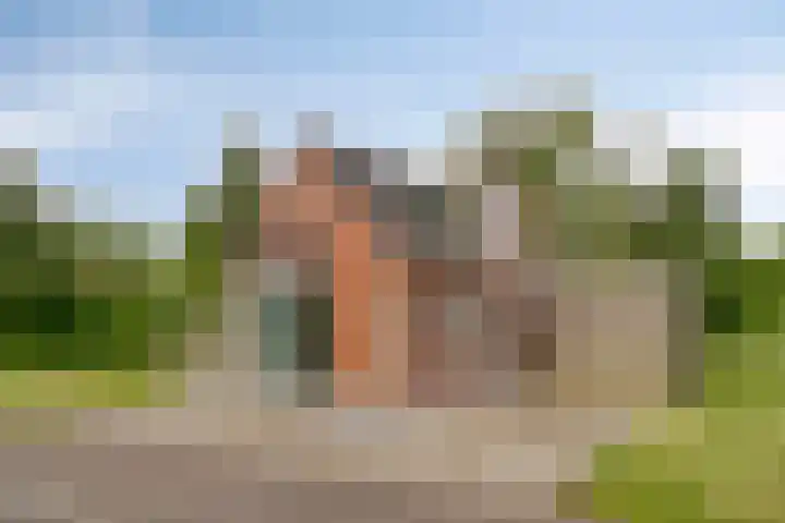 Bronsbergen 25 r 94 Zutphen thumbnail 27