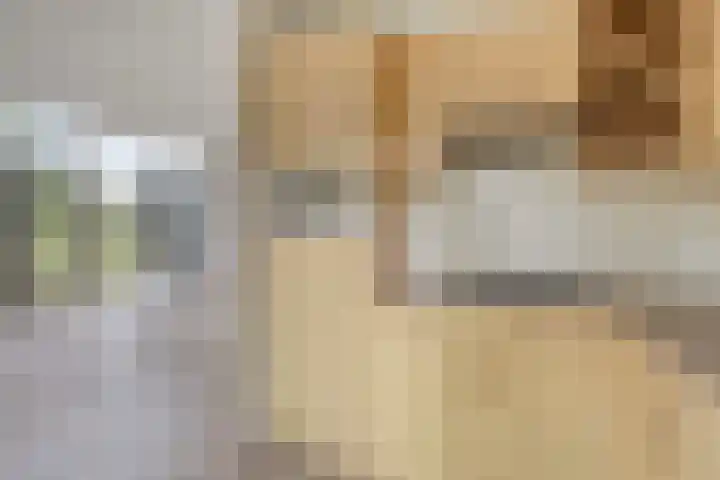 Bronsbergen 25 r 94 Zutphen thumbnail 5