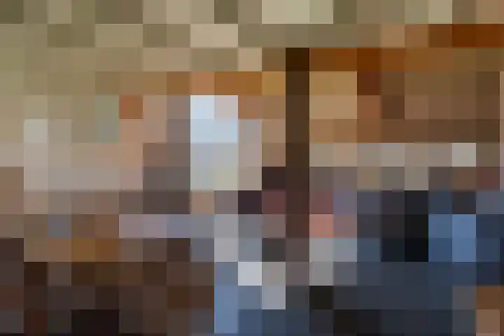 Bronsbergen 4 a Zutphen thumbnail 10