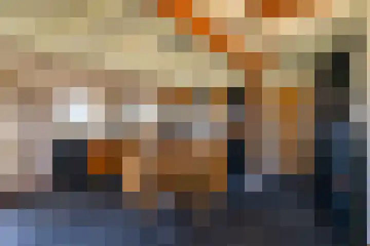 Bronsbergen 4 a Zutphen thumbnail 17